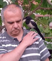 Doctor Dolittle, who has a guide dog, makes friends with a magpie