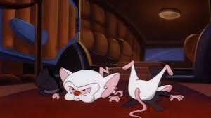 Pinky and the brain is an american animated television series that was created by tom ruegger that premiered on kids' wb on september 9, 1995. Pinky And The Brain On Tumblr