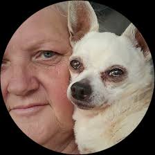 Coping with loss of a beloved pet