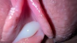 Hot Pussy Lick and Sex with best friend - XNXX.COM