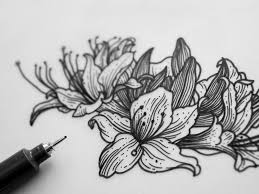 Azalea Flowers Illustration In 2020 Azalea Flower Flower Illustration Flower Tattoo Designs