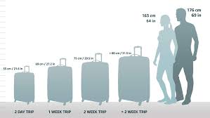 Set/2 5 cities easyjet 56x45x25cm cabin approved trolley case hand luggage bag. 56x45x25 Luggage Buy Clothes Shoes Online