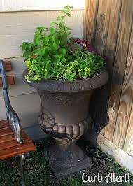 We've already made some, and here's one more stylish idea. Curb Alert My Favorite Before And Afters Cementkrukker Betonkrukker Udendorsliv
