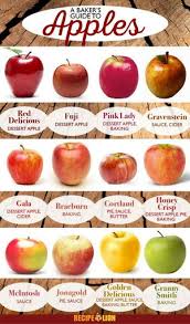 The Best Apples To Bake With Recipelion Com