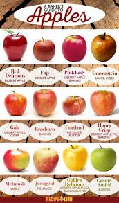 the best apples to bake with recipelion com