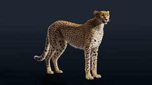 Pin On 3d Models 3d Assets