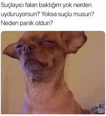 Yoksa 2020 Komik Goruntuler Komik Seyler Komik Capsler