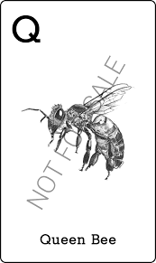 Con Ong Queen Bee Animal Flashcards Animals Animal Cards