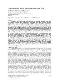 Image result for Vigna multinervis