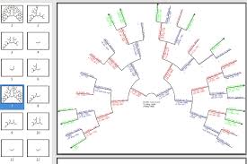 All versions from windows vista/7 and later are. Unlimited Family Tree Freeware On Windows Mac And Linux Ancestris