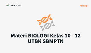 Materi biologi kelas 10 semester 1 kurikulum 2013 pdf. Rangkuman Materi Biologi Sma Kelas 10 12 Utbk Sbmptn 2020 Yusuf Studi