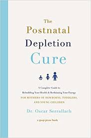 The Postnatal Depletion Cure A Complete Guide To Rebuilding