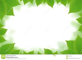 See more ideas about flower frame, leaf border, wallpaper backgrounds. Free Download Green Leaf Wallpaper Border Hd Wallpapers On Picsfaircom 1300x957 For Your Desktop Mobile Tablet Explore 45 Leaf Wallpaper Borders Leaf Wallpaper For Walls Wallpaper With Leaves Ivy Wallpaper Border