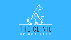 Thursday Wellness