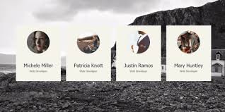 Its like when you need to know somebody and get detail data about them this will catch your eye. Profile Card Ui Design