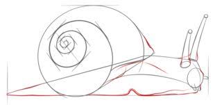 Schnecke Zeichnen Lernen Schritt Fur Schritt Tutorial Zeichnen Leicht Gemacht