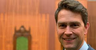 Liberal MP spotted totally nude during virtual question period