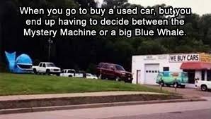 Morning Funny Picture Dump 36 Pics Funny Funny Pictures Everything Funny