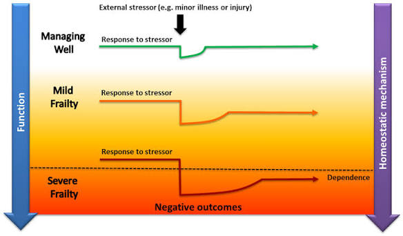 Frailty in Older Adults - Early Identification and Management - Province of  British Columbia