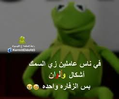 Pin On Eldofd3 Kermit