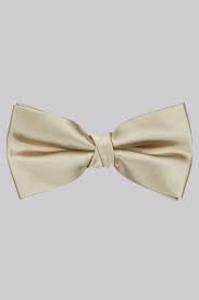 Moss 1851 Gold Bow Tie
