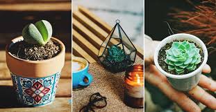 Succulents are beautiful plants and incredibly diverse. 30 Beautiful Succulent Planter Ideas To Display Their Full Glory