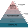 Abraham maslow emerged from obscurity to become one of the most important and influential psychologists of the 20th century. 1