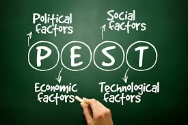 Content marketing strategy for pest control companies: What Pestle Stands For In Marketing