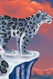 Snow Leopard Drawing Snow Leopard Drawing Snow Leopard Leopard Drawing