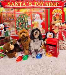 Ain't nothing but a coon dog! #coon dog #AcrylicPainting #LocalArtist  #dogportrait