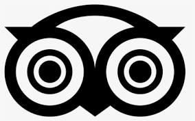 Transparent Owl With Pencil Clipart Homework Clipart Hd Png Download Kindpng Looking better and more aesthetic.