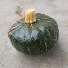 Image result for Cucurbita