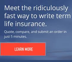 Georgia insurance solutions group, llc. Isgi