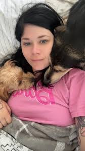 Lost Toy Yorkie in Magnolia, Ozark