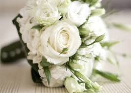White flowers meaning in hindi. White Rose Meaning And Symbolism What Do They Say To You