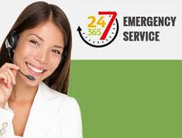 It is located in southern ontario on the northwestern shore of lake ontario. Pest Control Toronto Pestend Affordable Pest Exterminator