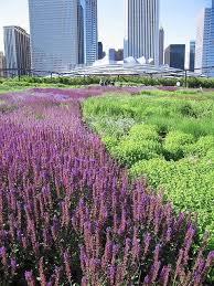 Pin On Landscape Architecture