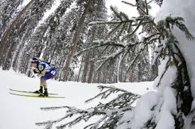 Информация о спортсменах и командах на яндекс.спорте. Jq1ugvjsgjibym