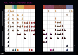 kadus professional permanent shades june 2014