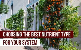 However, there are a couple of challenges that are keeping it from taking over the world. The Best Hydroponic Nutrients For Your System Upstart University