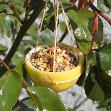 Carved wooden trough for birds. 15 Easy Homemade Bird Feeders Diy Bird Feeder Ideas
