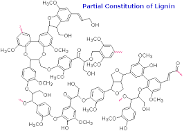 Polymers Makeup Chemical Polymer