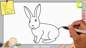 We did not find results for: Hase Kaninchen Zeichnen Lernen Einfach Schritt Fur Schritt Fur Anfanger 6 Youtube