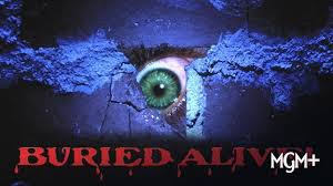Watch The Video Dead | Prime Video