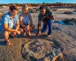 Check spelling or type a new query. Dinosaur Footprints Australia S North West