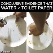 Toilet paper has changed my life after all. A Brief History Of Toilet Paper Why Some Countries Use It And Other Countries Don T