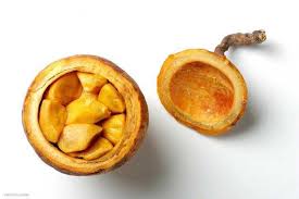 Image result for Landolphia lanceolata