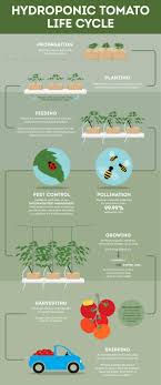 Family hydroponics & organics was first established in 2010, beginning in california. Greenhouse Farming Initiative Wendy S Csr