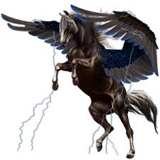 Pegasus Coats Unicorn Fantasy Beast Creature Horse Drawings