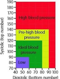 7 Herbs And Foods For Reducing High Blood Pressure Chart